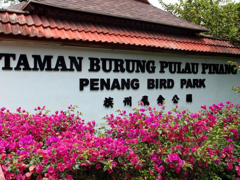 Penang Bird Park
